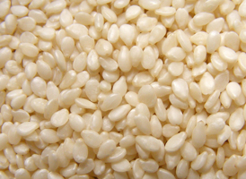 Oil Seeds